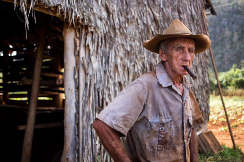 Vieil homme fumant un cigaire dans une plantation de tabac à Cuba