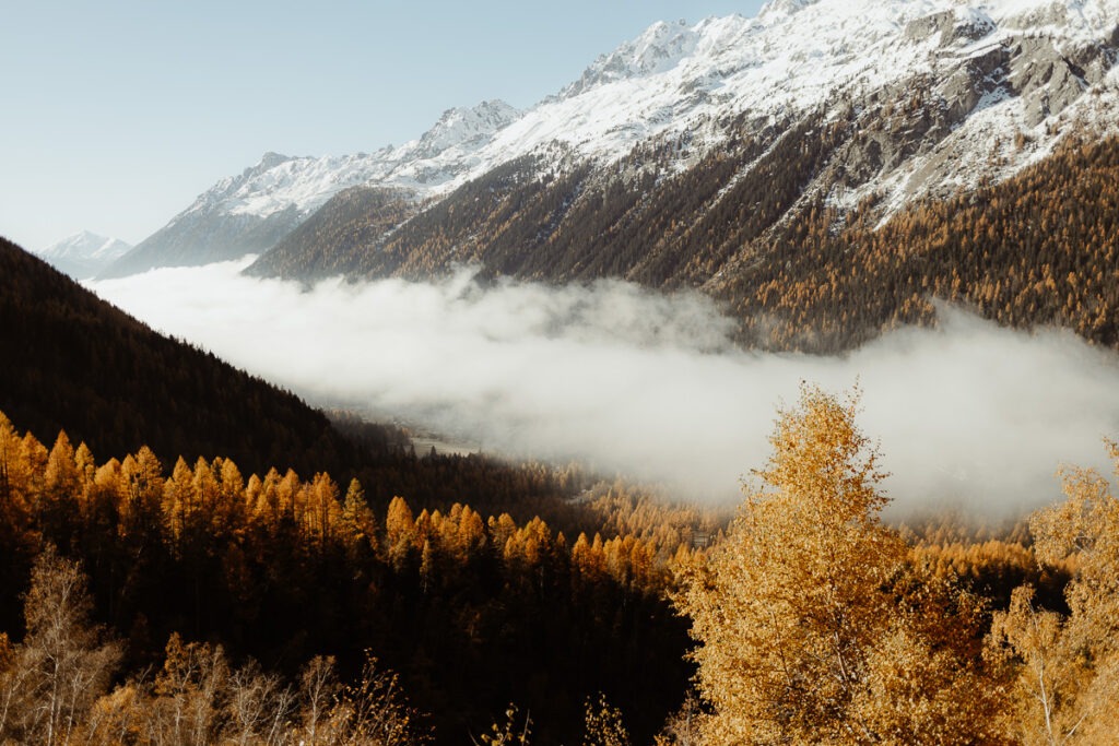 A picturesque landscape featuring a majestic mountain range accented by lush trees in the foreground.
