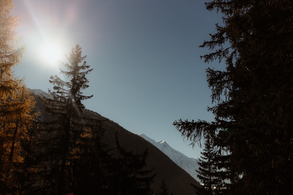 The sun shines through the trees of Mount Brorrick.