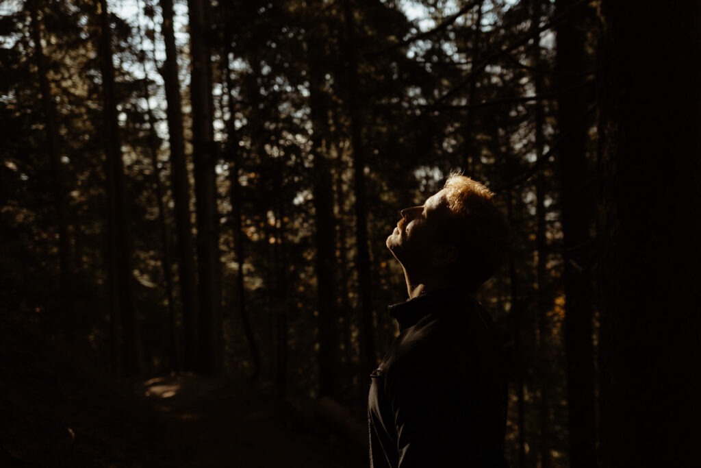 A man standing in the woods of Brorrick Mountain, looking up at the sun.